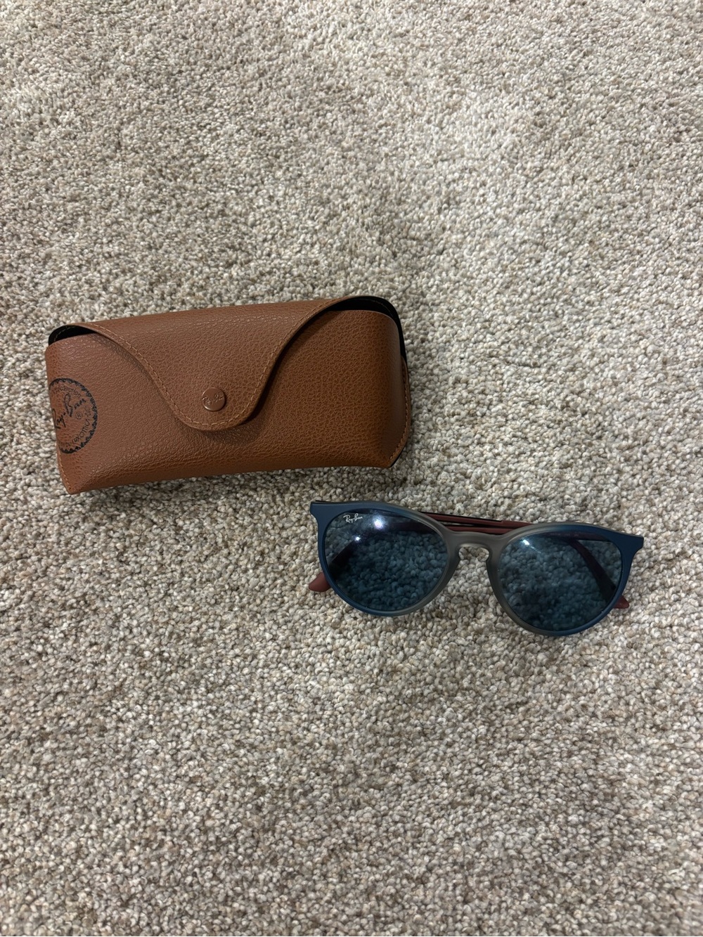 RAY-BAN Ericka Sunglasses